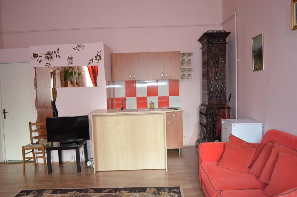 Cosy Studio Apartment Cluj-Napoca Exterior foto