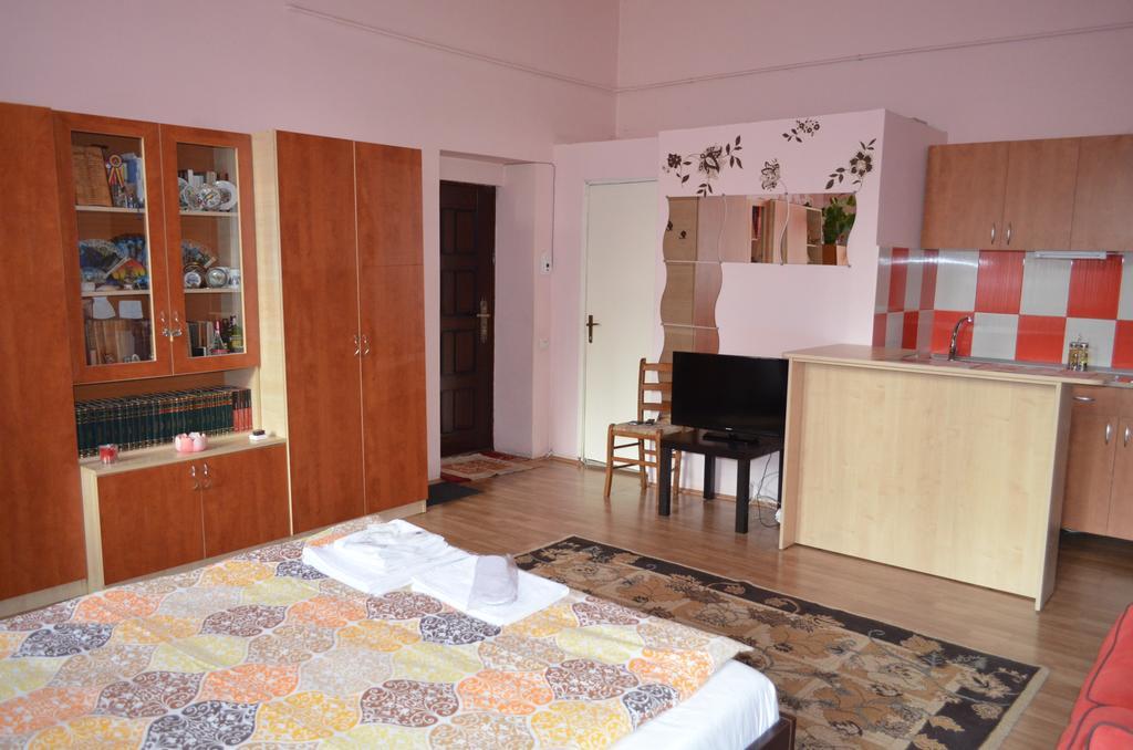 Cosy Studio Apartment Cluj-Napoca Exterior foto